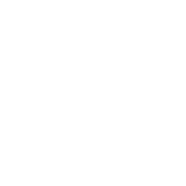 Lagoonfest Texas Logo Icon